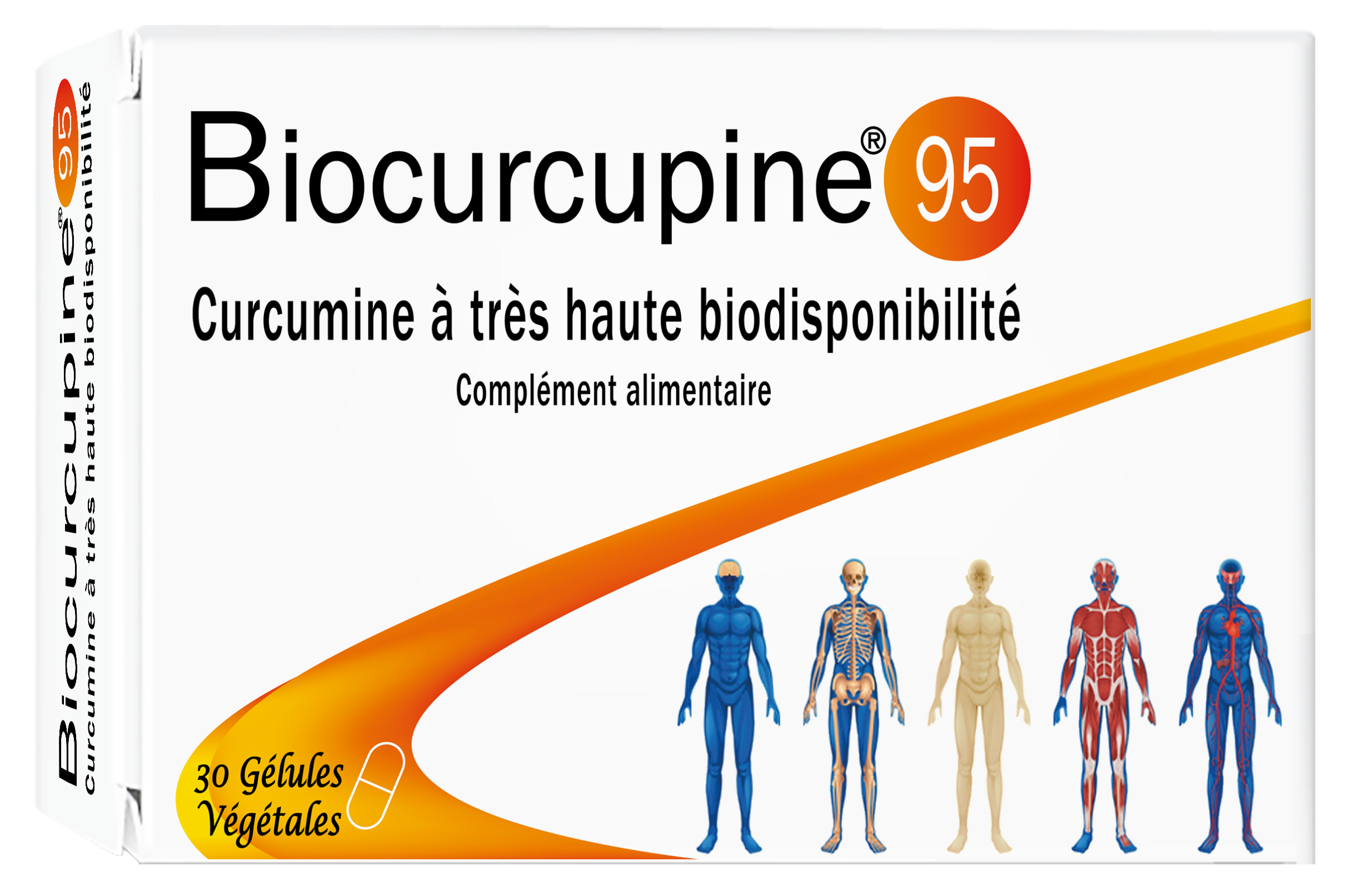 Biocurcupine®95