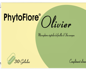PHYTOFLORE® OLIVIER