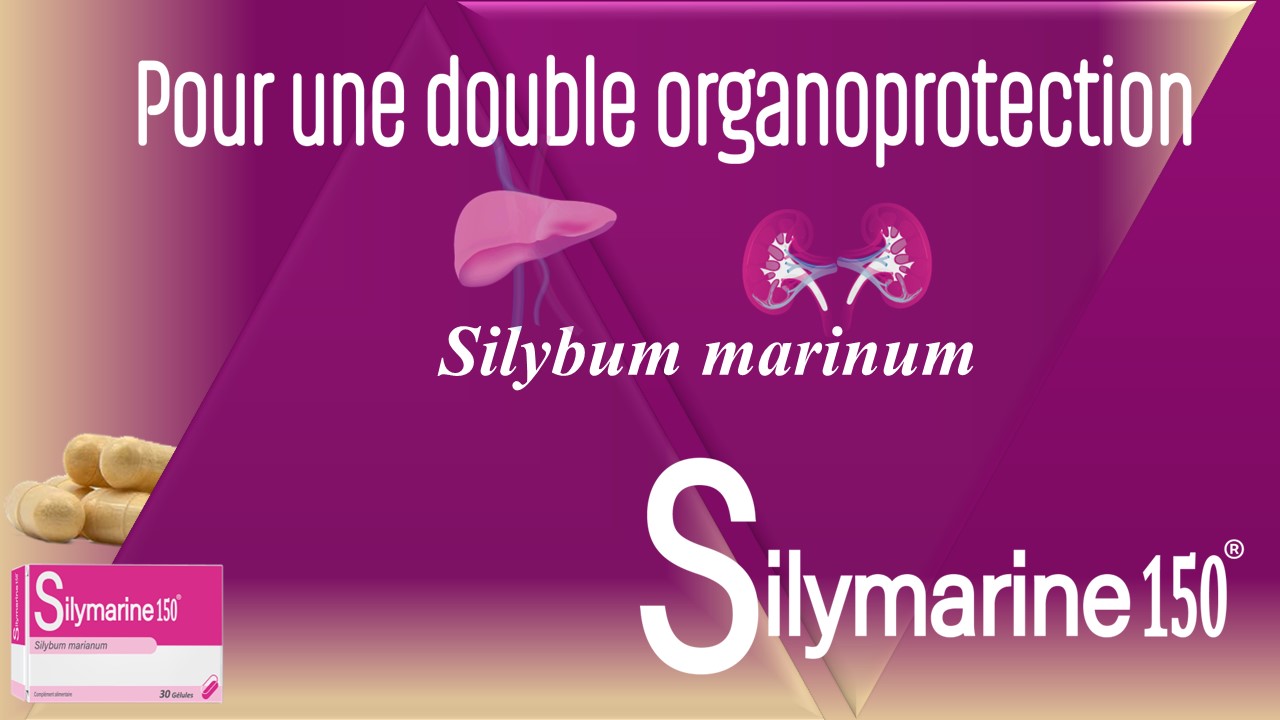 SILYMARINE150® – Image 2