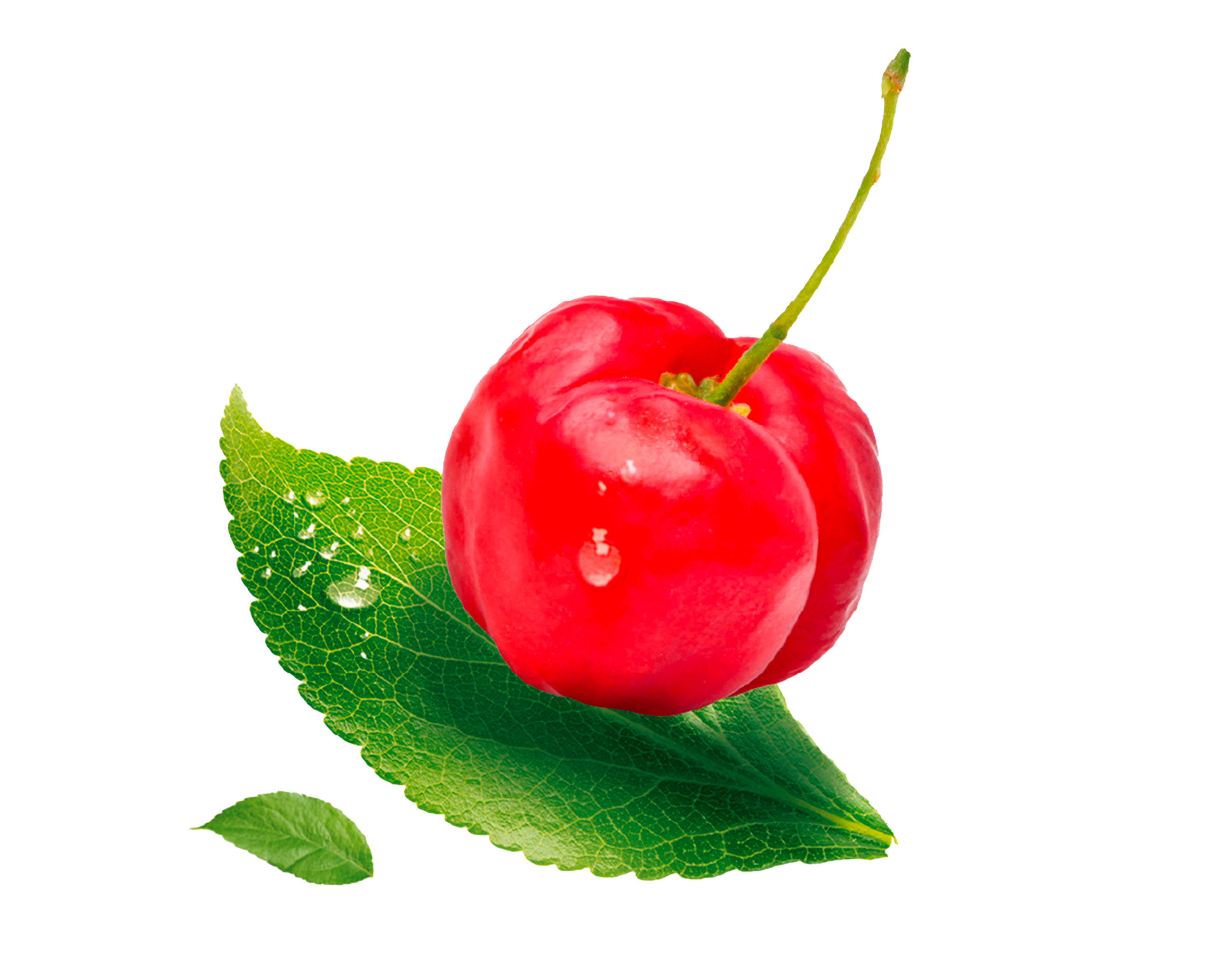 ACEROLA