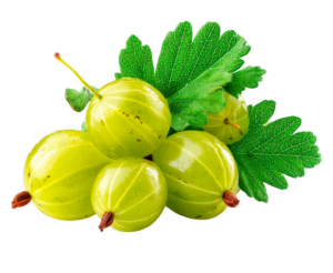 AMLA