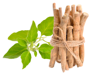 ASHWAGANDHA