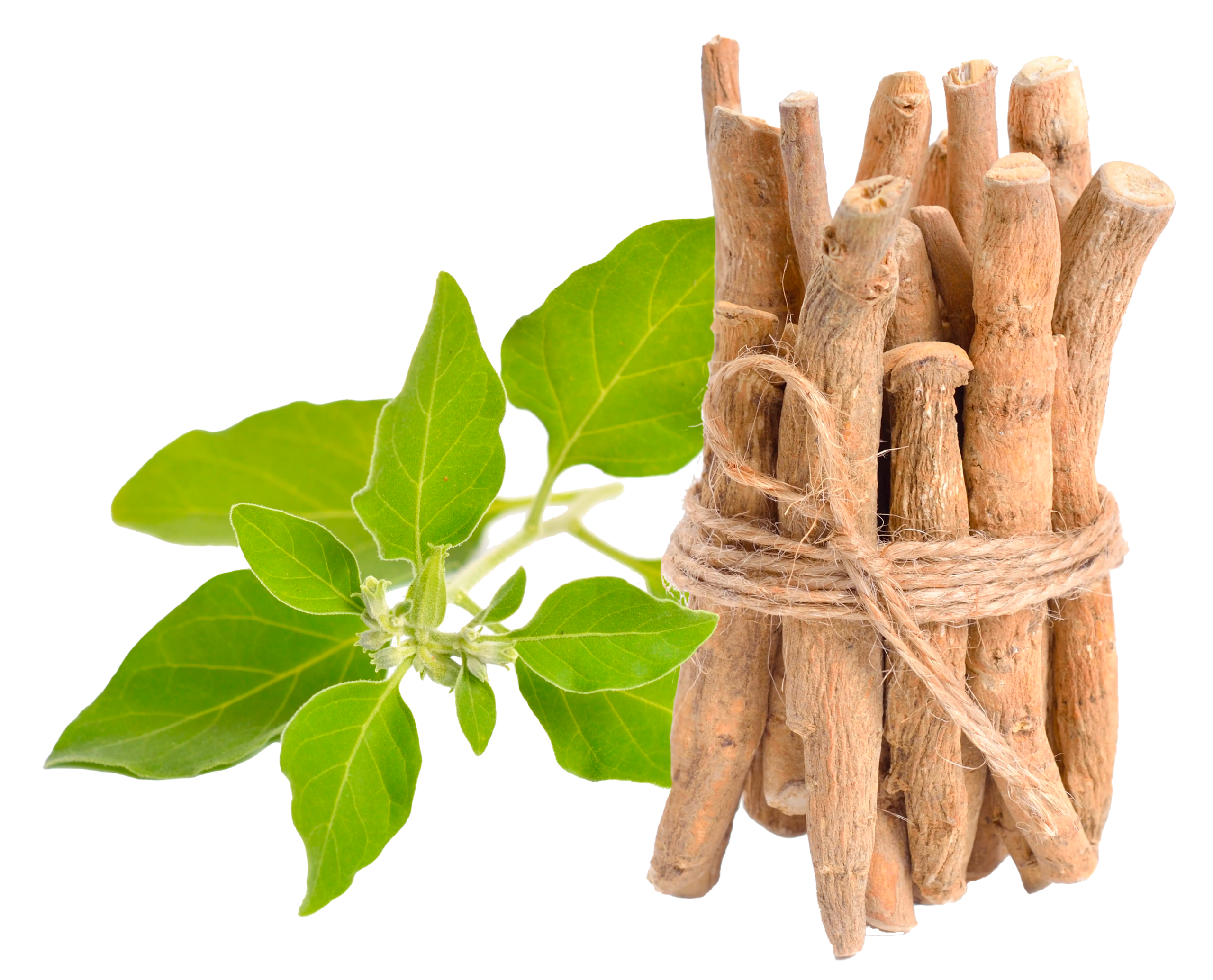 ASHWAGANDHA